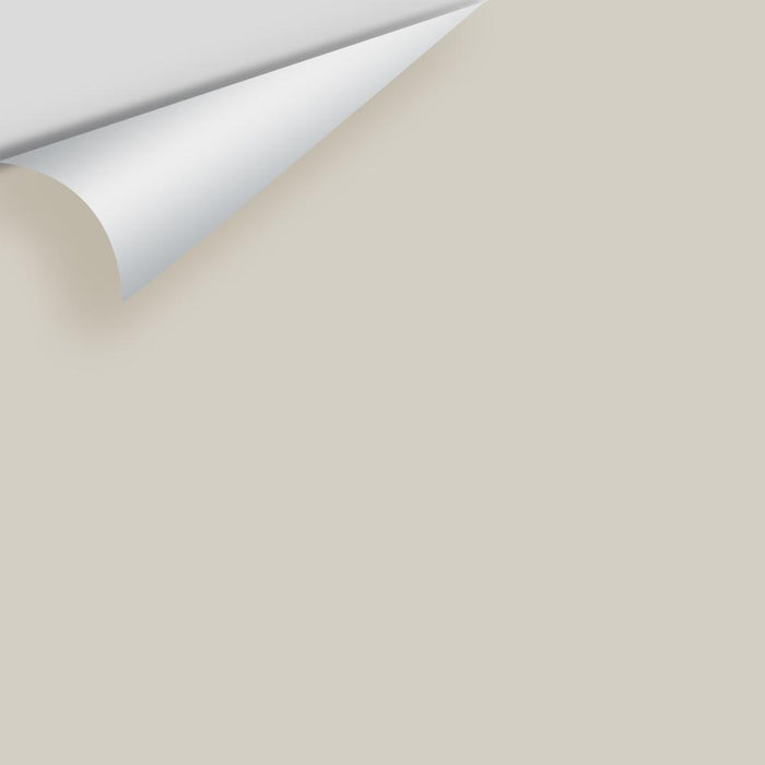Benjamin Moore Top Box - Greiges