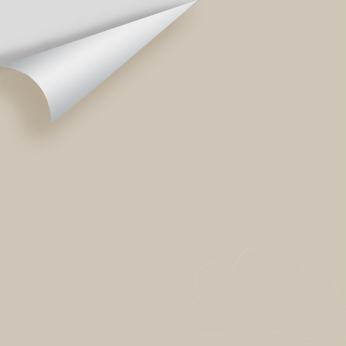 Benjamin Moore Top Box - Greiges