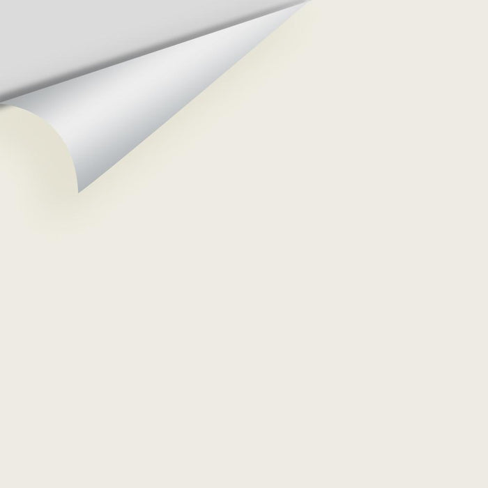 Benjamin Moore Top Box - Neutrals