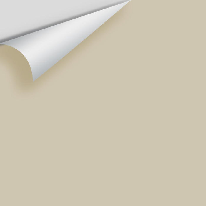 Benjamin Moore Top Box - Neutrals