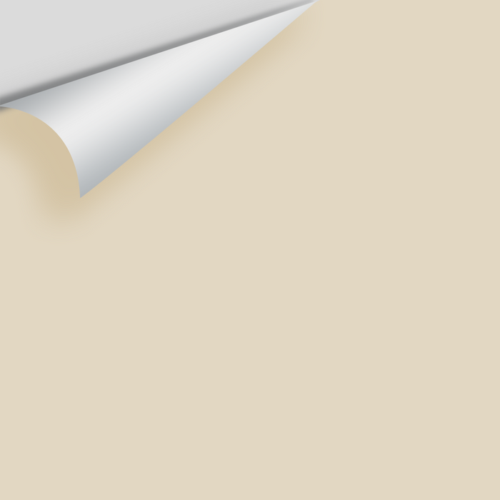 Benjamin Moore Top Box - Neutrals