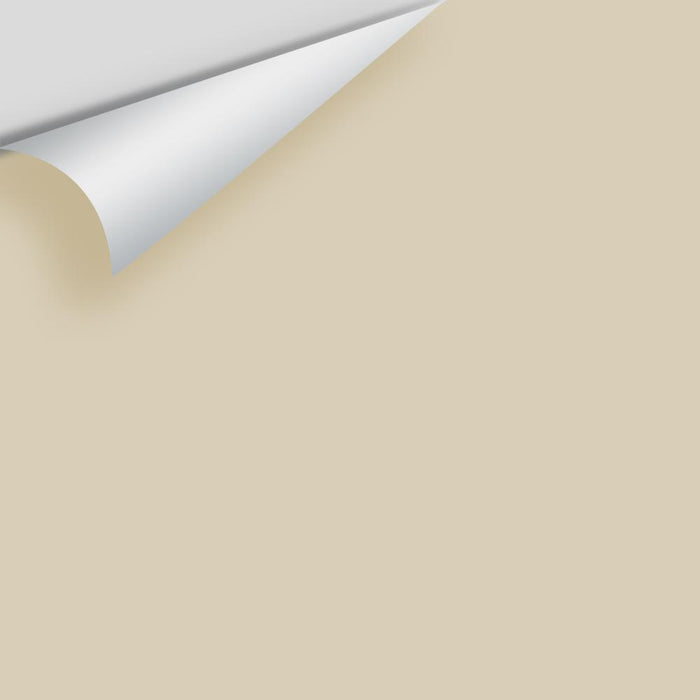 Benjamin Moore Top Box - Neutrals