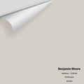 Big Paint Chip - Abalone 2108-60