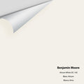 Big Paint Chip - Atrium White OC-145