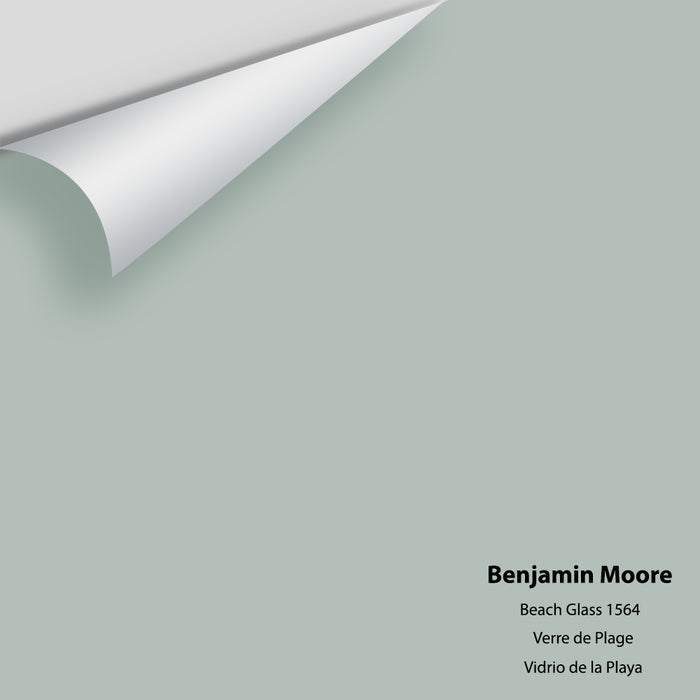 Big Paint Chip - Beach Glass 1564