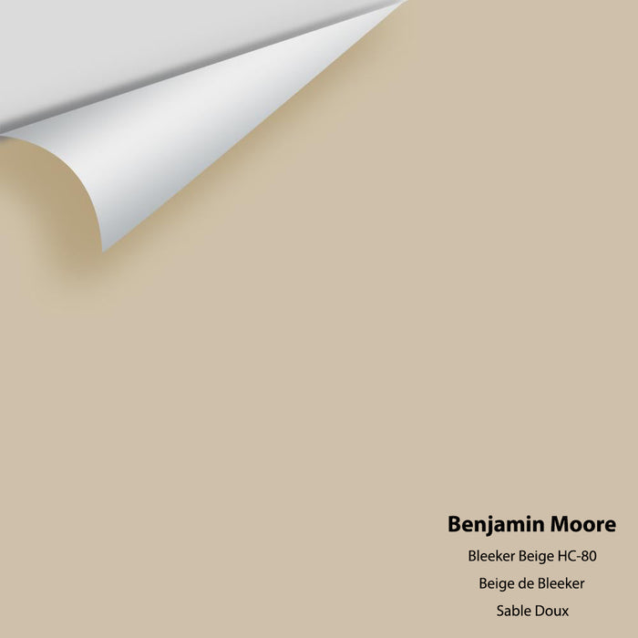 Big Paint Chip -  Bleeker Beige HC-80