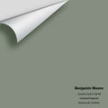 Big Paint Chip - Carolina Gull 2138-40