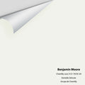 Big Paint Chip - Chantilly Lace 2121-70 / OC-65