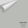 Big Paint Chip - Coventry Gray HC-169