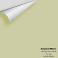 Big Paint Chip - Fernwood Green 2145-40