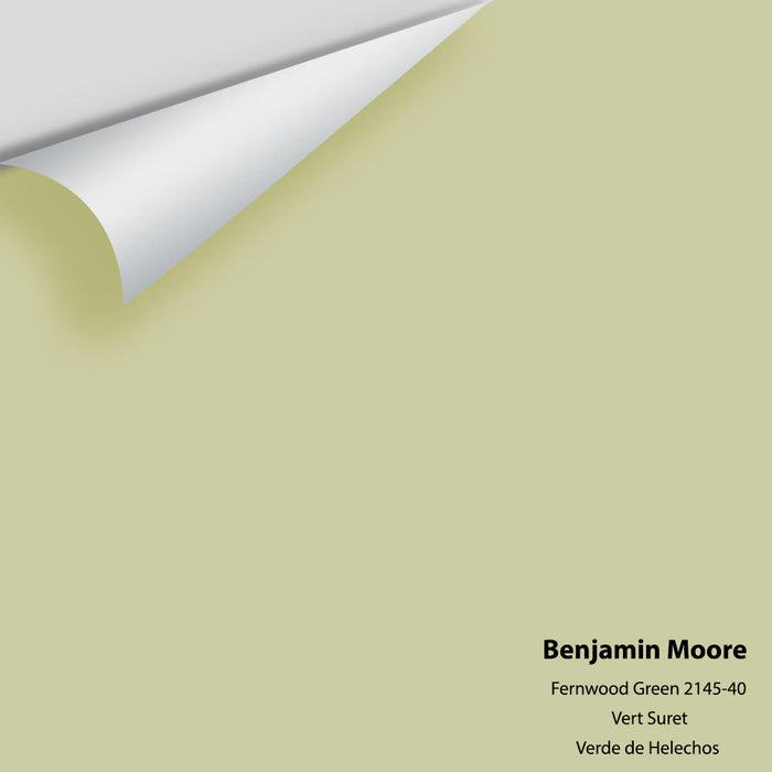 Big Paint Chip - Fernwood Green 2145-40