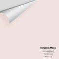 Big Paint Chip - First Light 2102-70