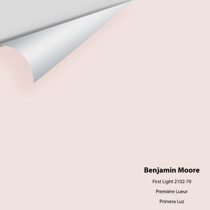 Big Paint Chip - First Light 2102-70