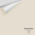 Big Paint Chip - Fossil AF-65