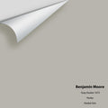 Big Paint Chip - Gray Husky 1473