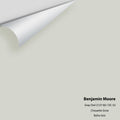 Big Paint Chip - Gray Owl 2137-60 / OC-52