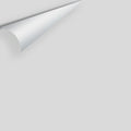 Big Paint Chip - Graytint 1611