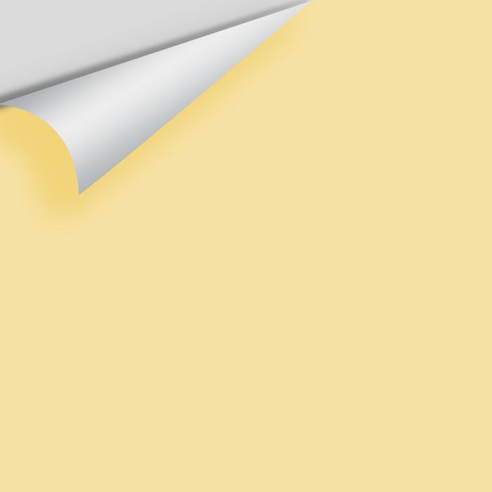 Big Paint Chip - Hawthorne Yellow HC-4