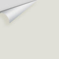 Big Paint Chip - Intense White OC-51