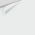Big Paint Chip - Misty Gray 2124-60
