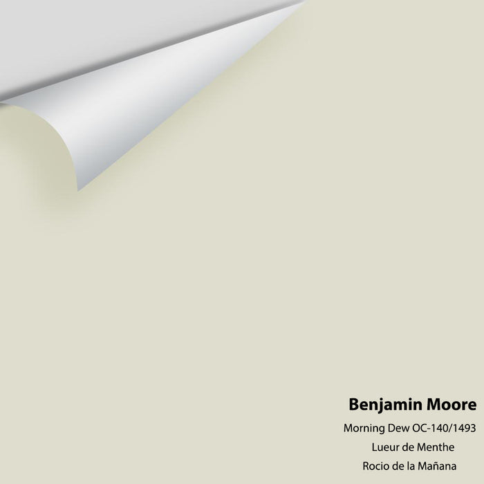 Big Paint Chip - Morning Dew 1493 / OC-140