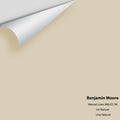 Big Paint Chip - Natural Linen 966 / CC-90