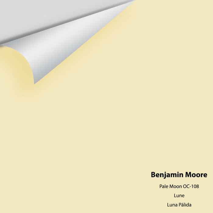 Big Paint Chip - Pale Moon 289 / OC-108