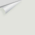Big Paint Chip - Paper White 1590 / OC-55