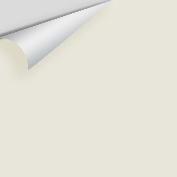 Big Paint Chip - Seapearl 961 / OC-19