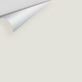 Big Paint Chip - Silver Satin 856 / OC-26
