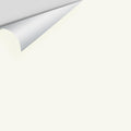 Big Paint Chip - Simply White 2143-70 / OC-117