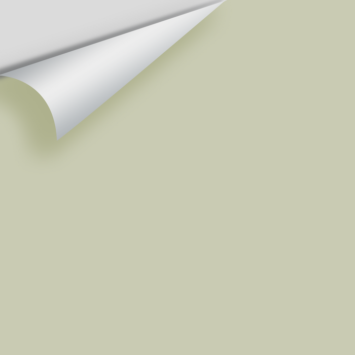 Big Paint Chip - Soft Fern 2144-40