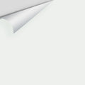 Big Paint Chip - White Diamond 2121-60 / OC-61