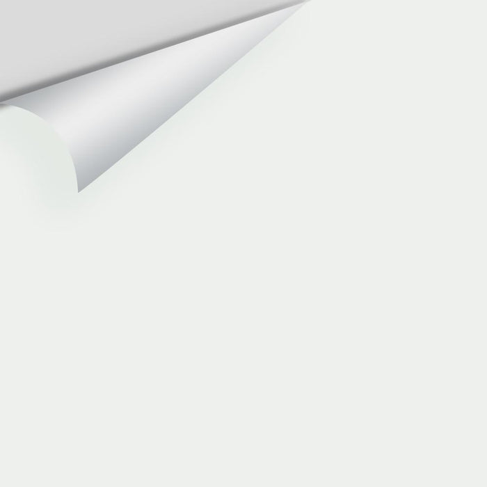 Big Paint Chip - White Diamond 2121-60 / OC-61