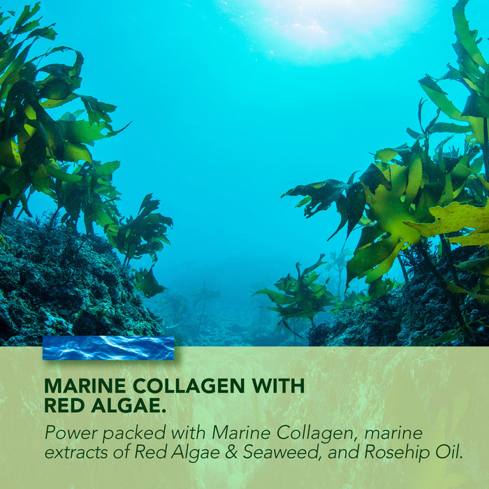 Collagen Day Cream