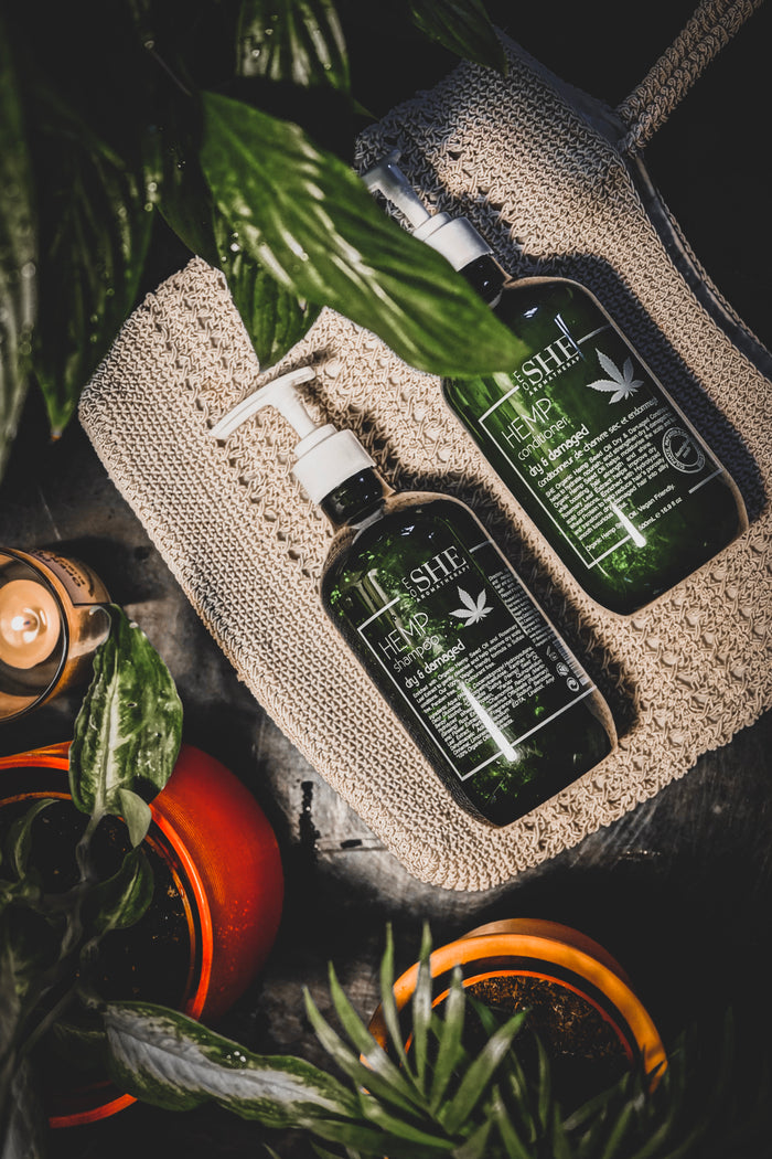 Dry & Damaged - Conditioner
