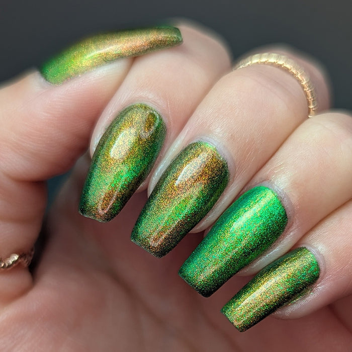 Forest Floor