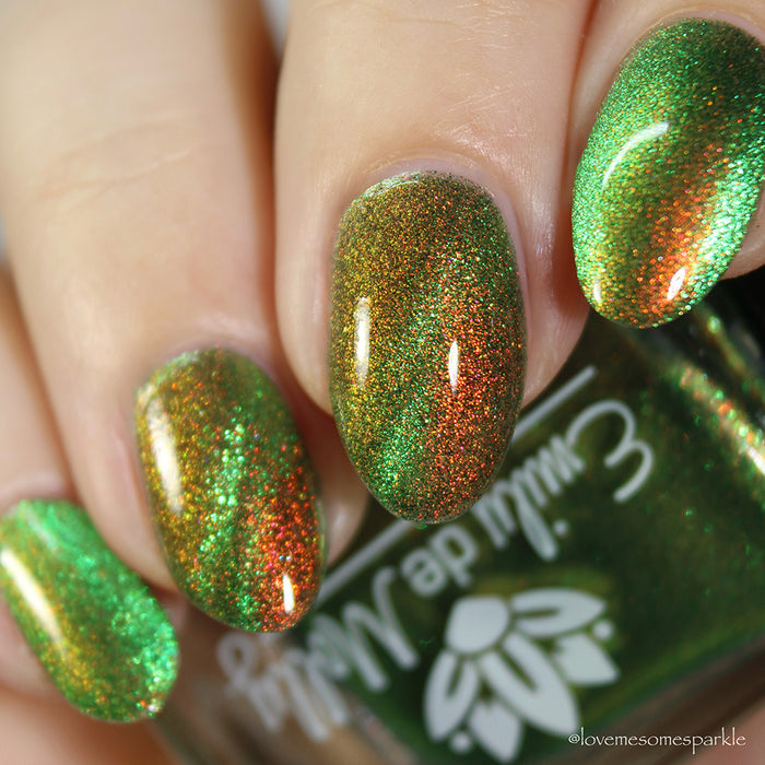 Forest Floor