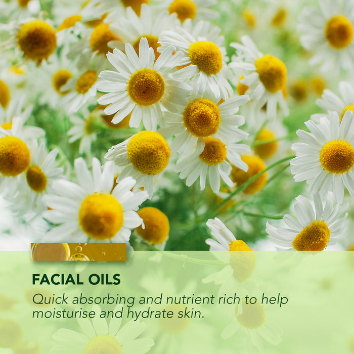 Lavender & Calendula Facial Oil