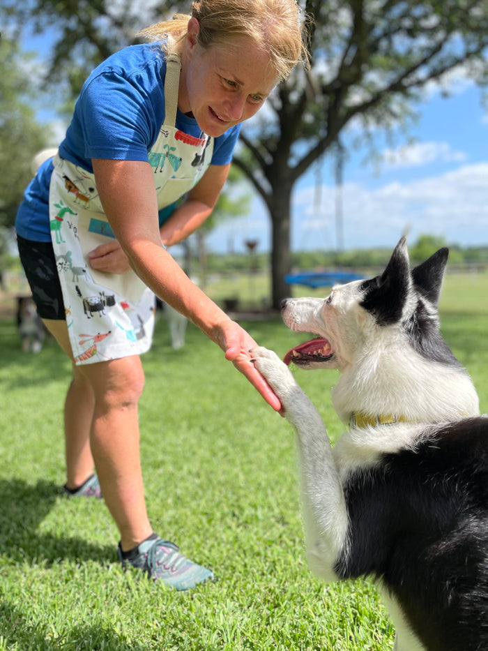 Maribeth Dog Lovers Apron Agility Trainer Doing Tricks with Border Collie wearing apron
