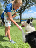 Maribeth Dog Lovers Apron Agility Trainer Doing Tricks with Border Collie wearing apron
