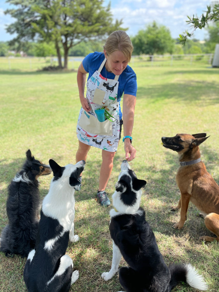 dogs sitting with owner in colorful playful dog kitchen apron Maribeth lifestyle