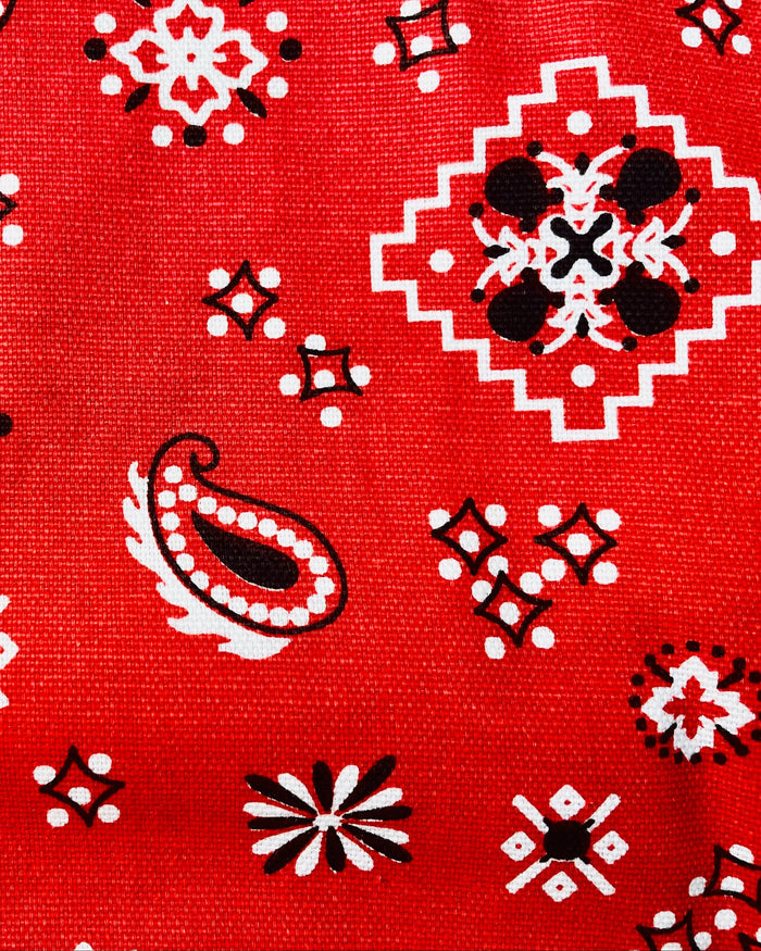 Amanda Bright Designs Montana Red Bandana Print horse lover western  print apron with webbed cotton strings and canvas pockets