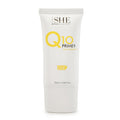 Q10 Primer