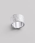 Silver ring TEXTURE