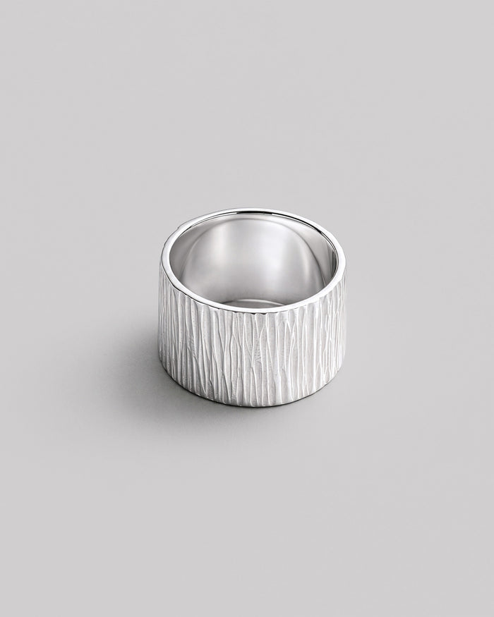 Silver ring TEXTURE