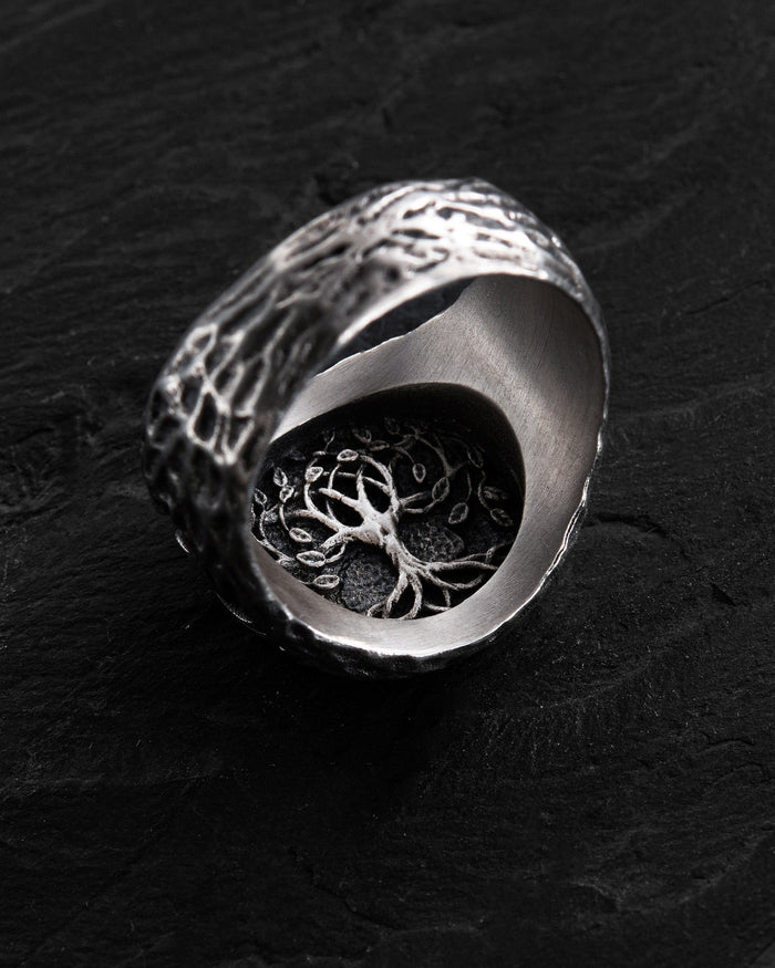 Silver ring VEGVISIR. RUNES