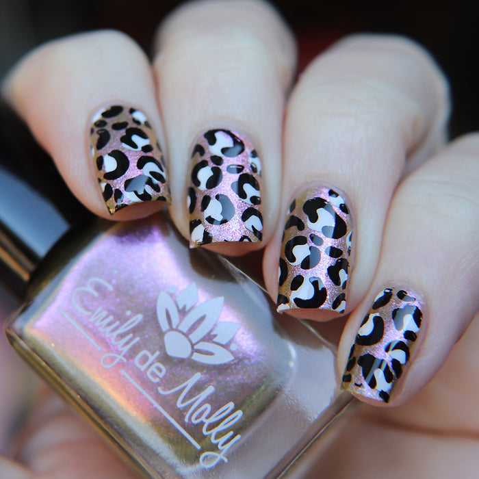 Stamping set "The Basics" set