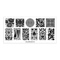 Valareign 02 Messy Mansion Nail Stamping Plate